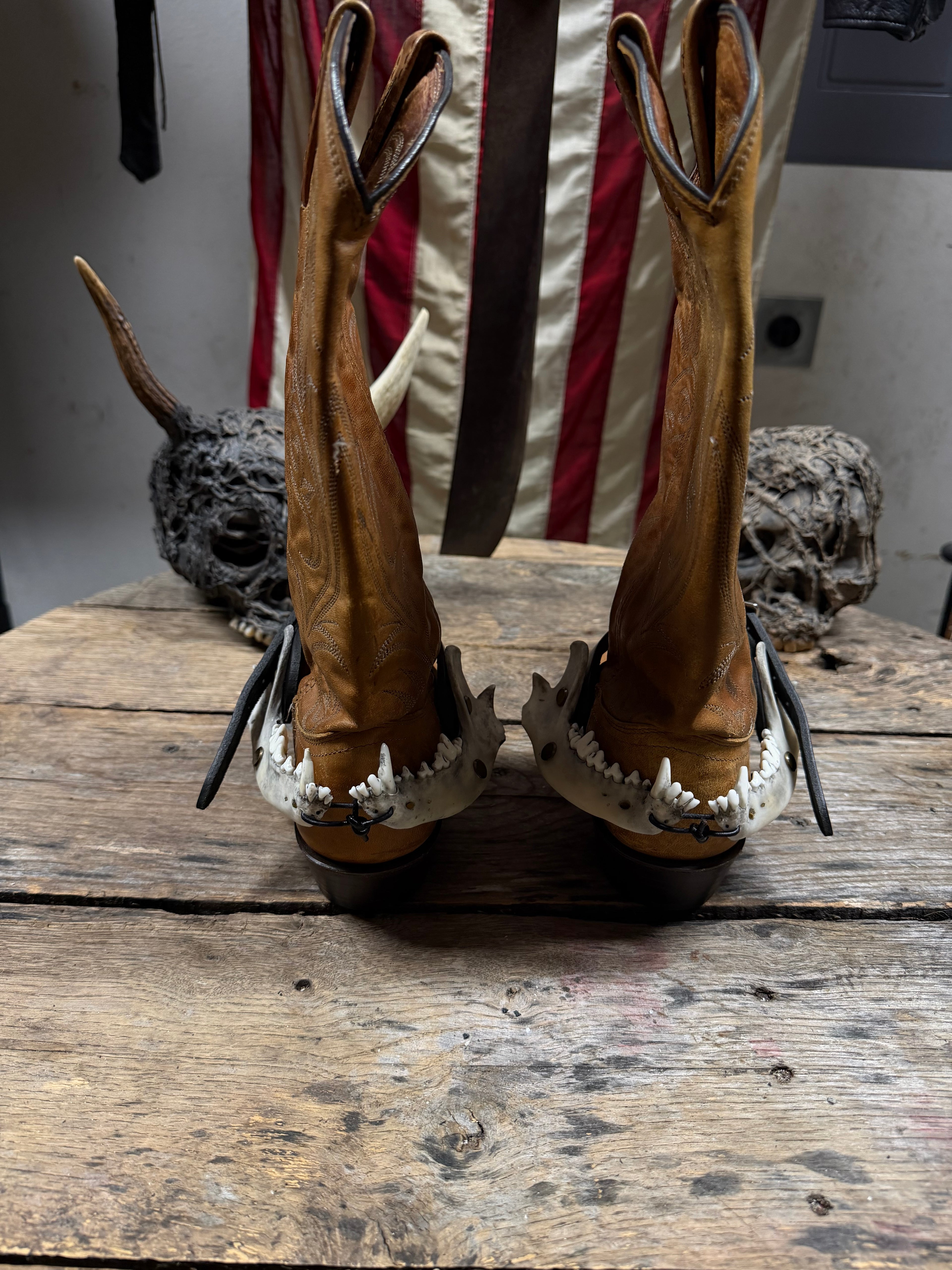 Smaller Coyote Jawbone Spurs Pair