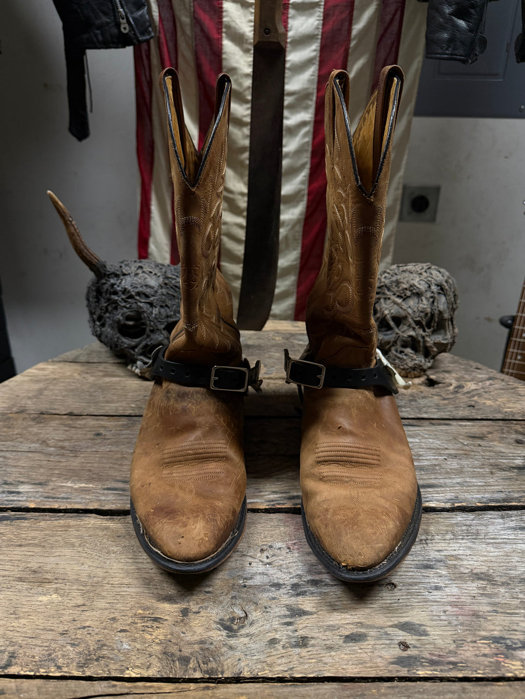 Medium Coyote Jawbone Spurs Pair