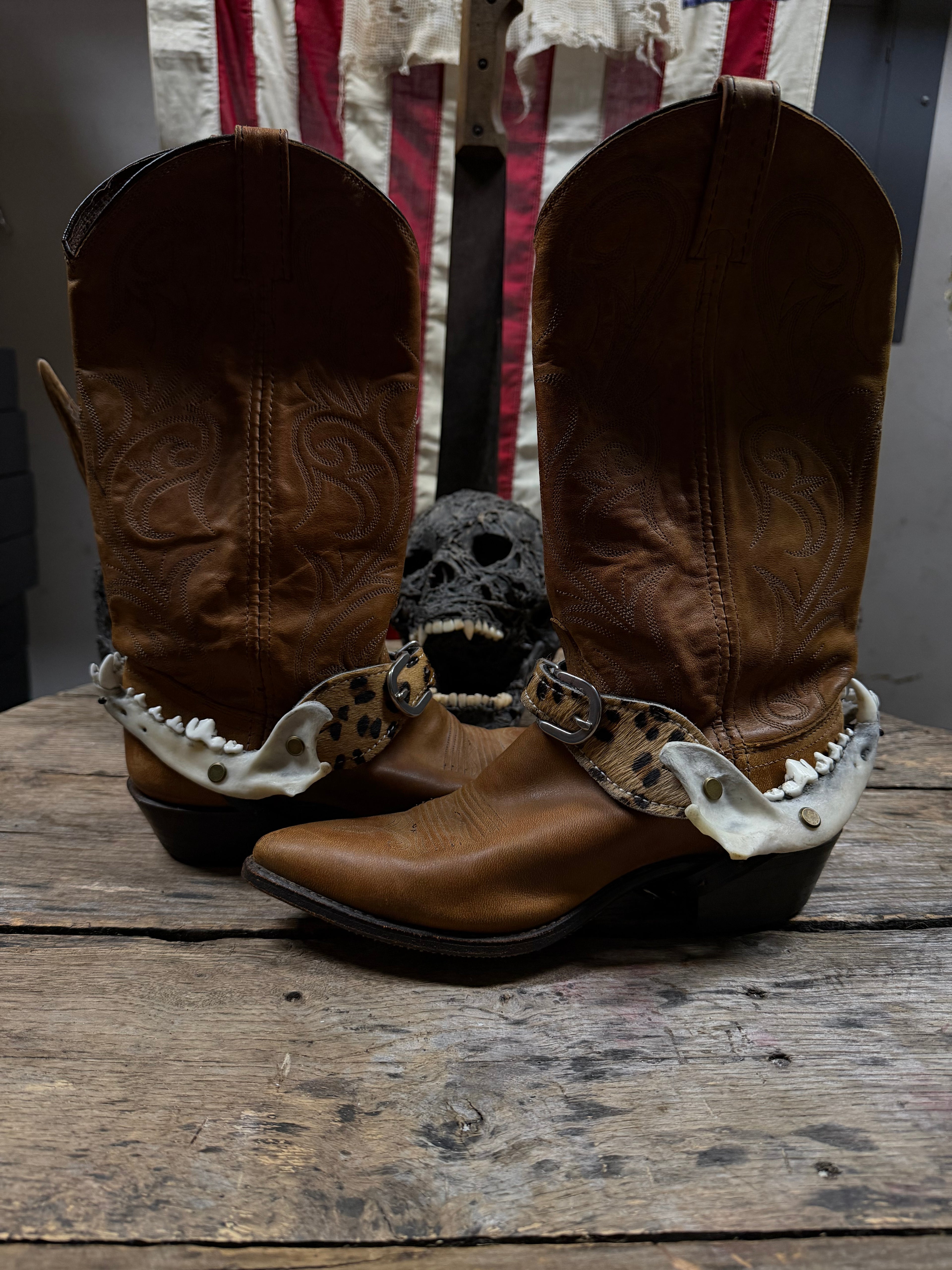 Medium Coyote Jawbone Spurs Pair