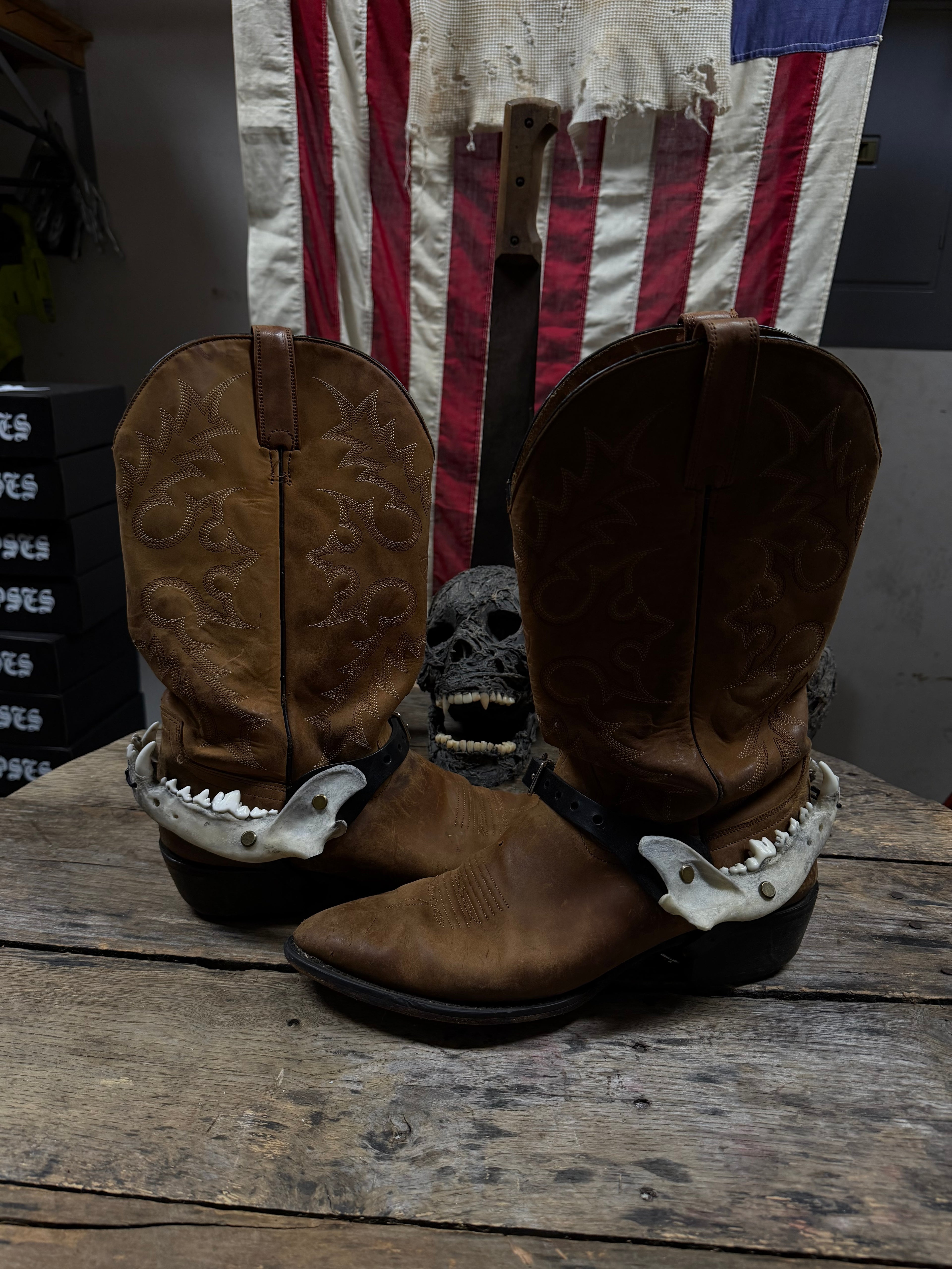 Larger Coyote Jawbone Spurs Pair