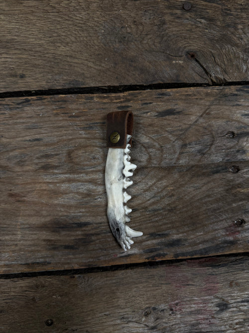 Coyote Jawbone Keychain