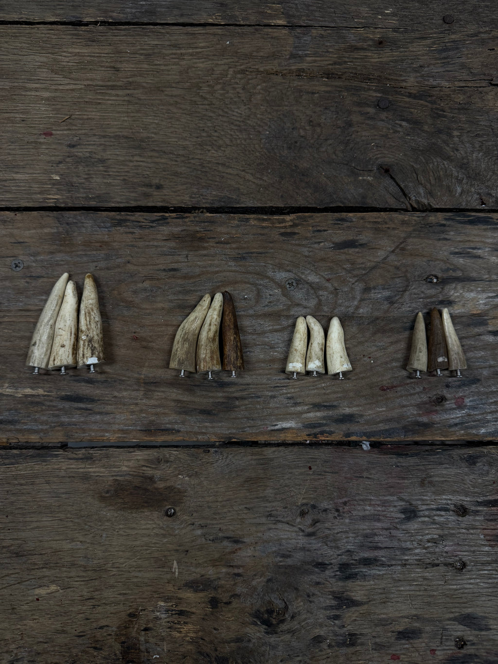 Deer Antler Studs