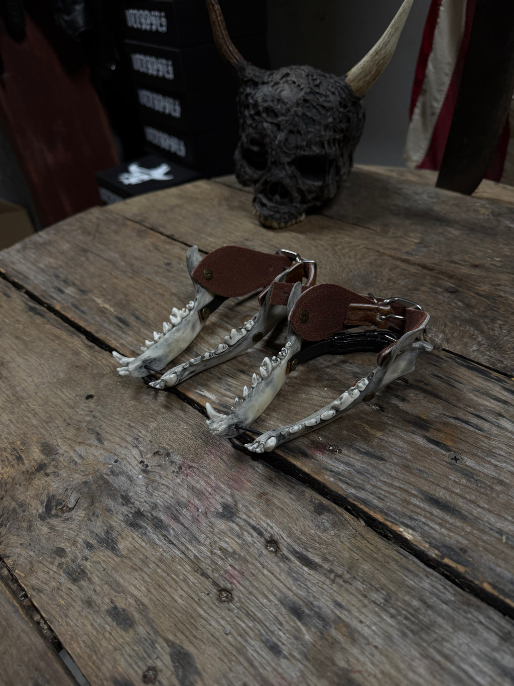 Smaller Coyote Jawbone Spurs Pair