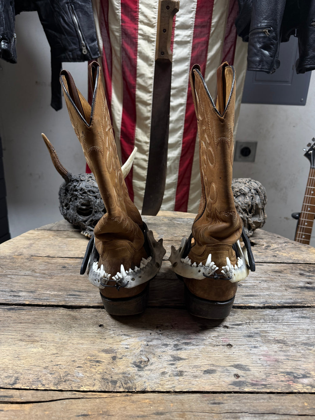 Medium Coyote Jawbone Spurs Pair