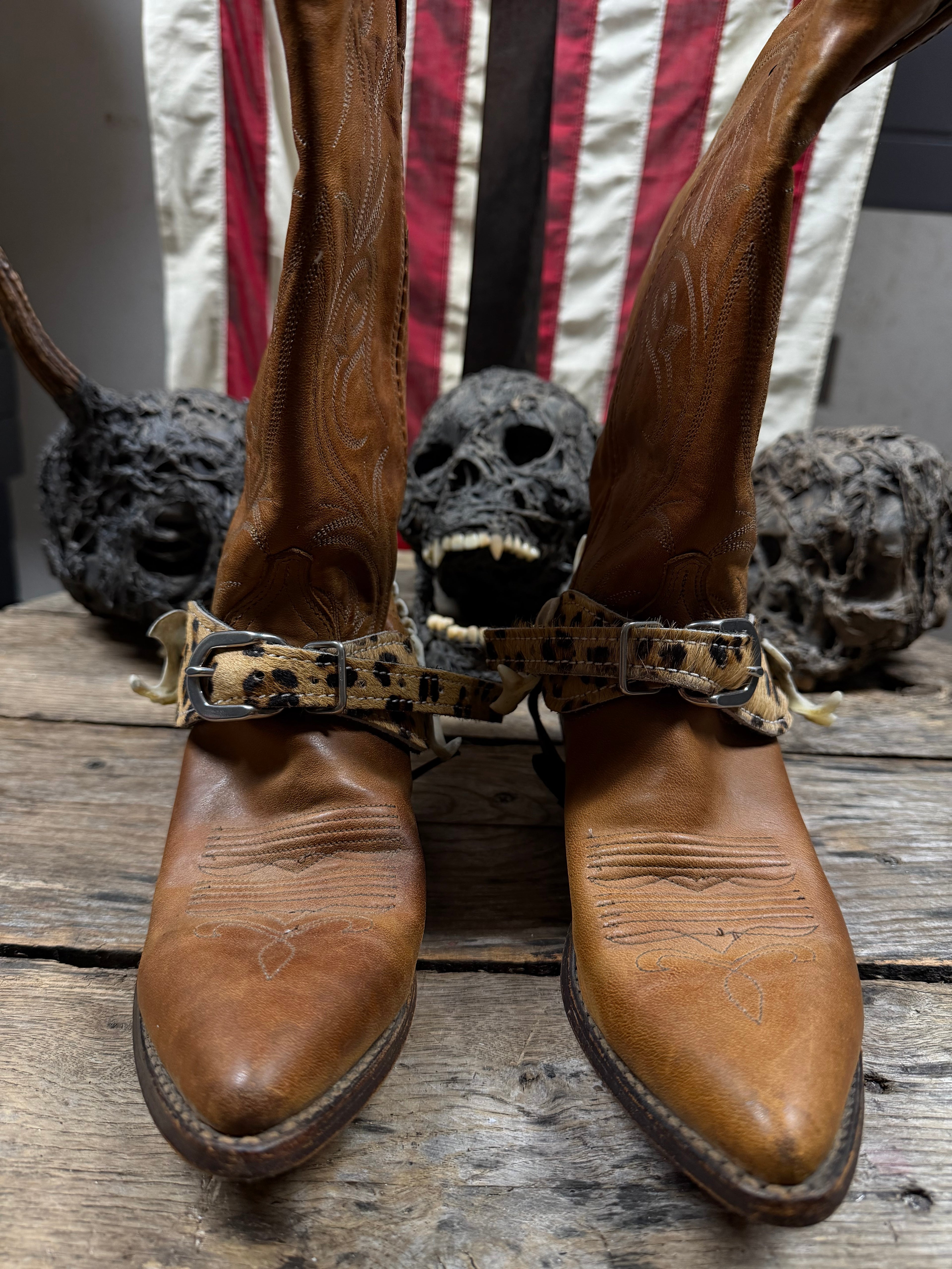 Medium Coyote Jawbone Spurs Pair