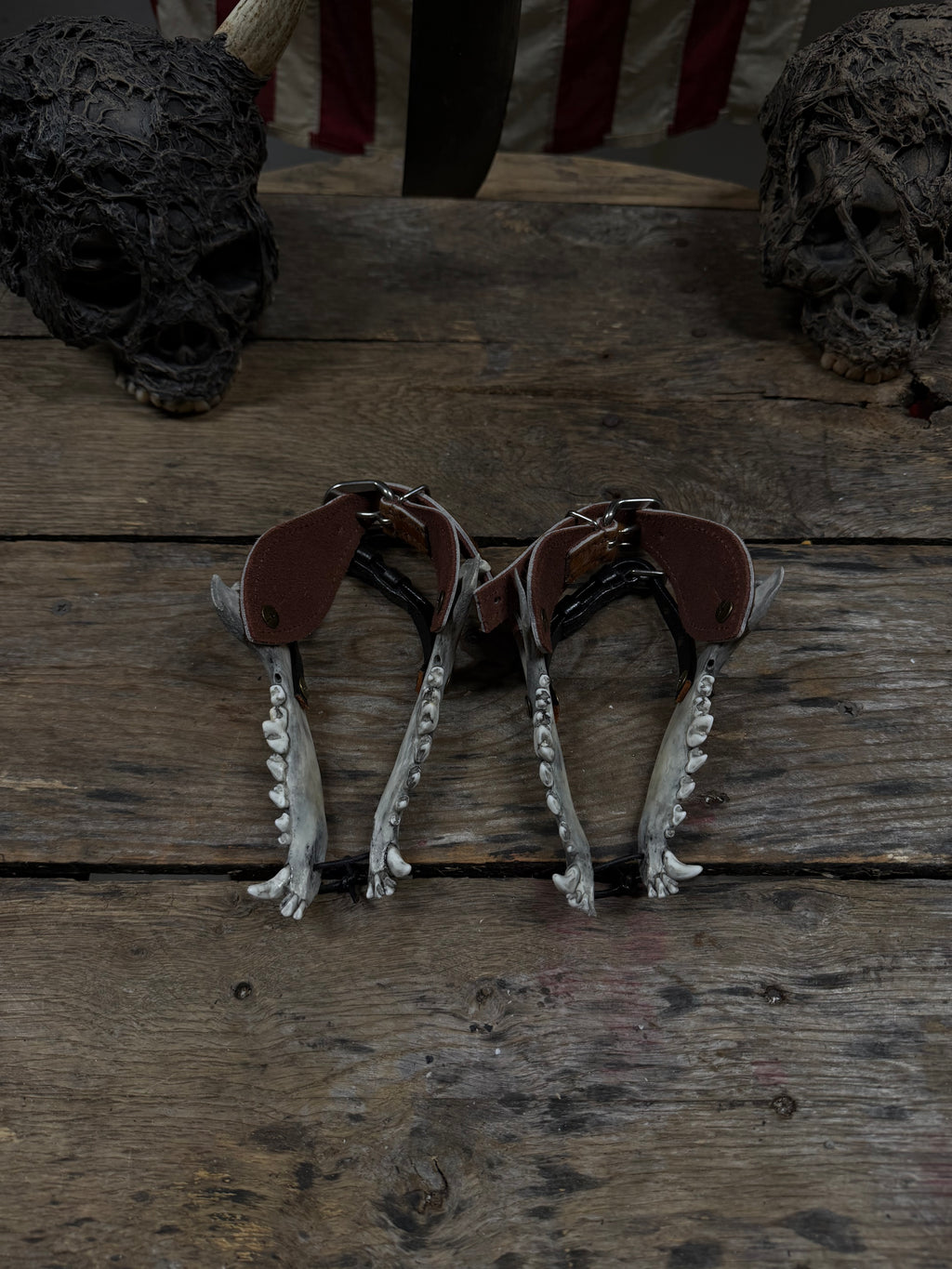 Smaller Coyote Jawbone Spurs Pair