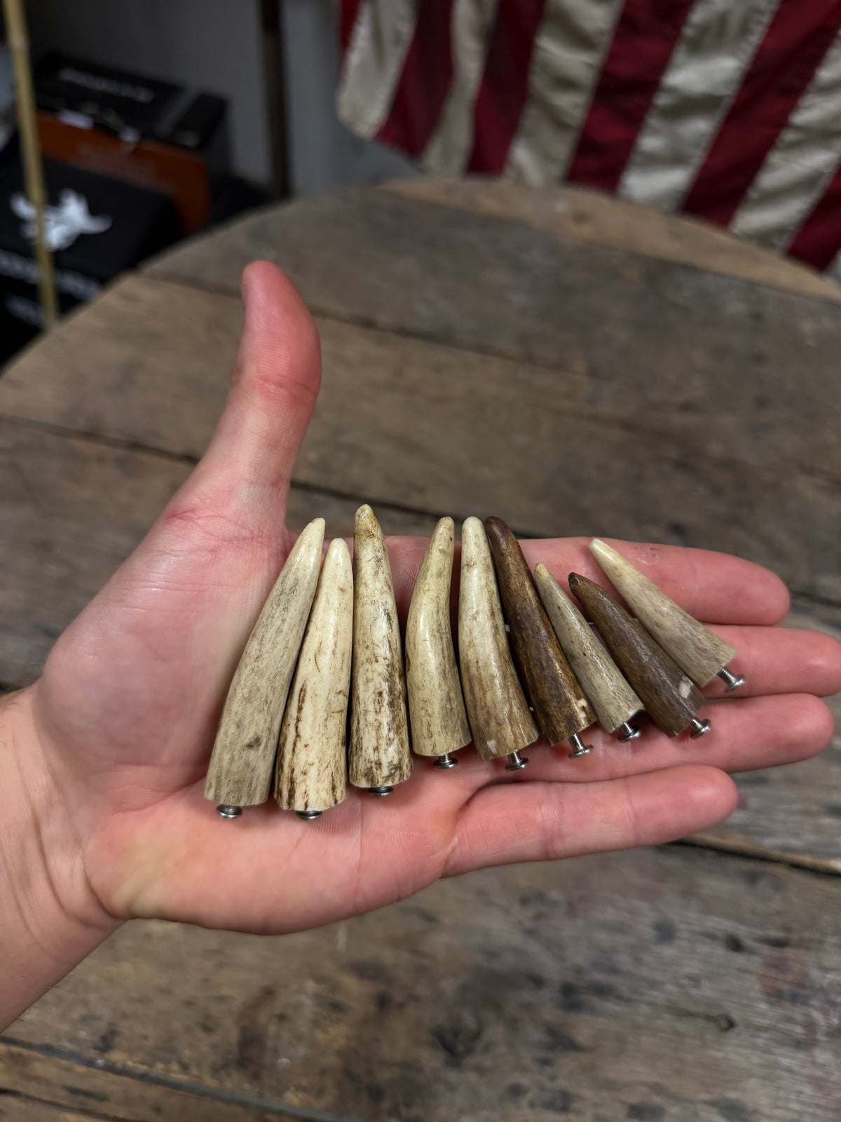 Deer Antler Studs