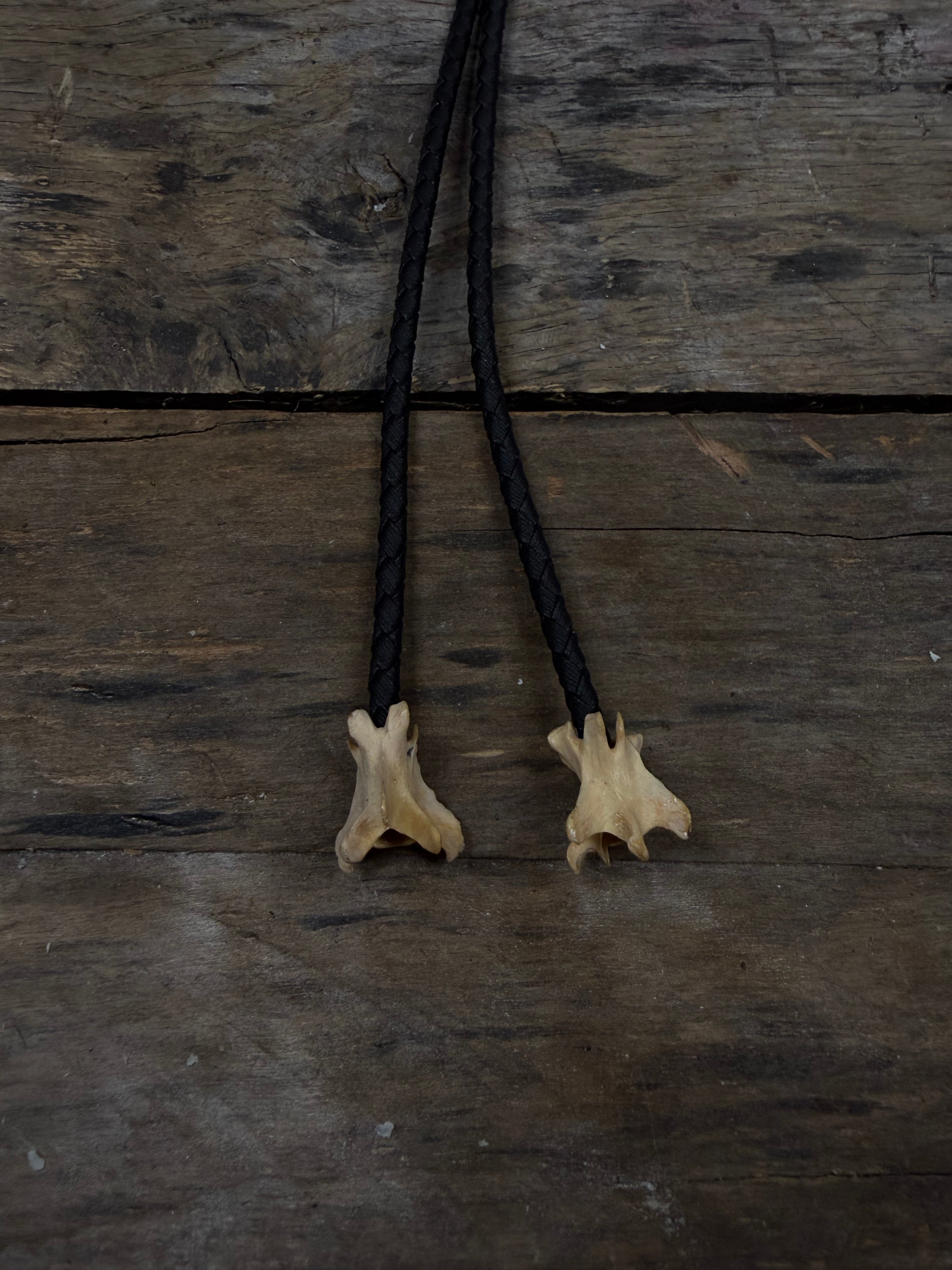 Mink skull bolo tie