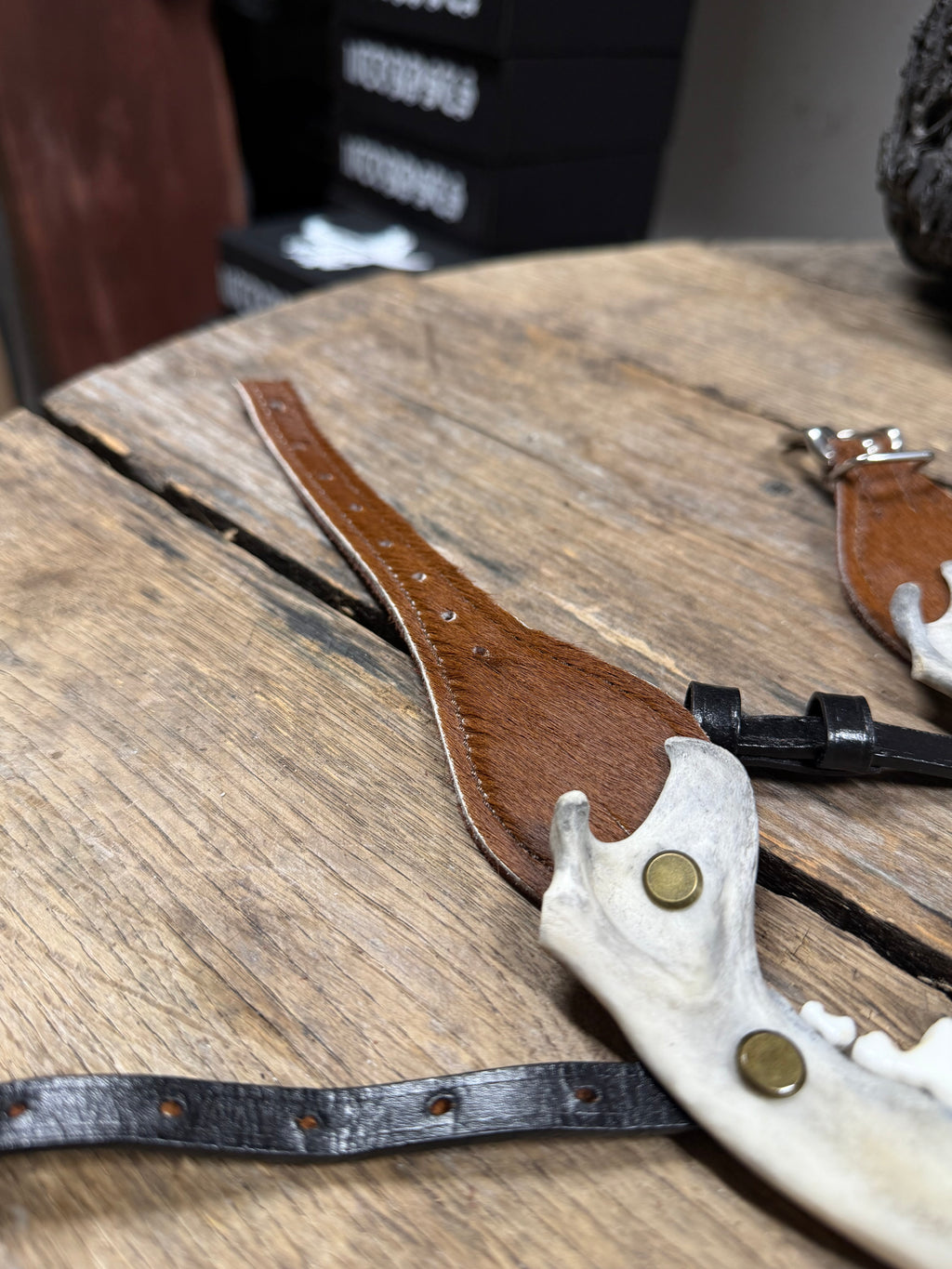Smaller Coyote Jawbone Spurs Pair
