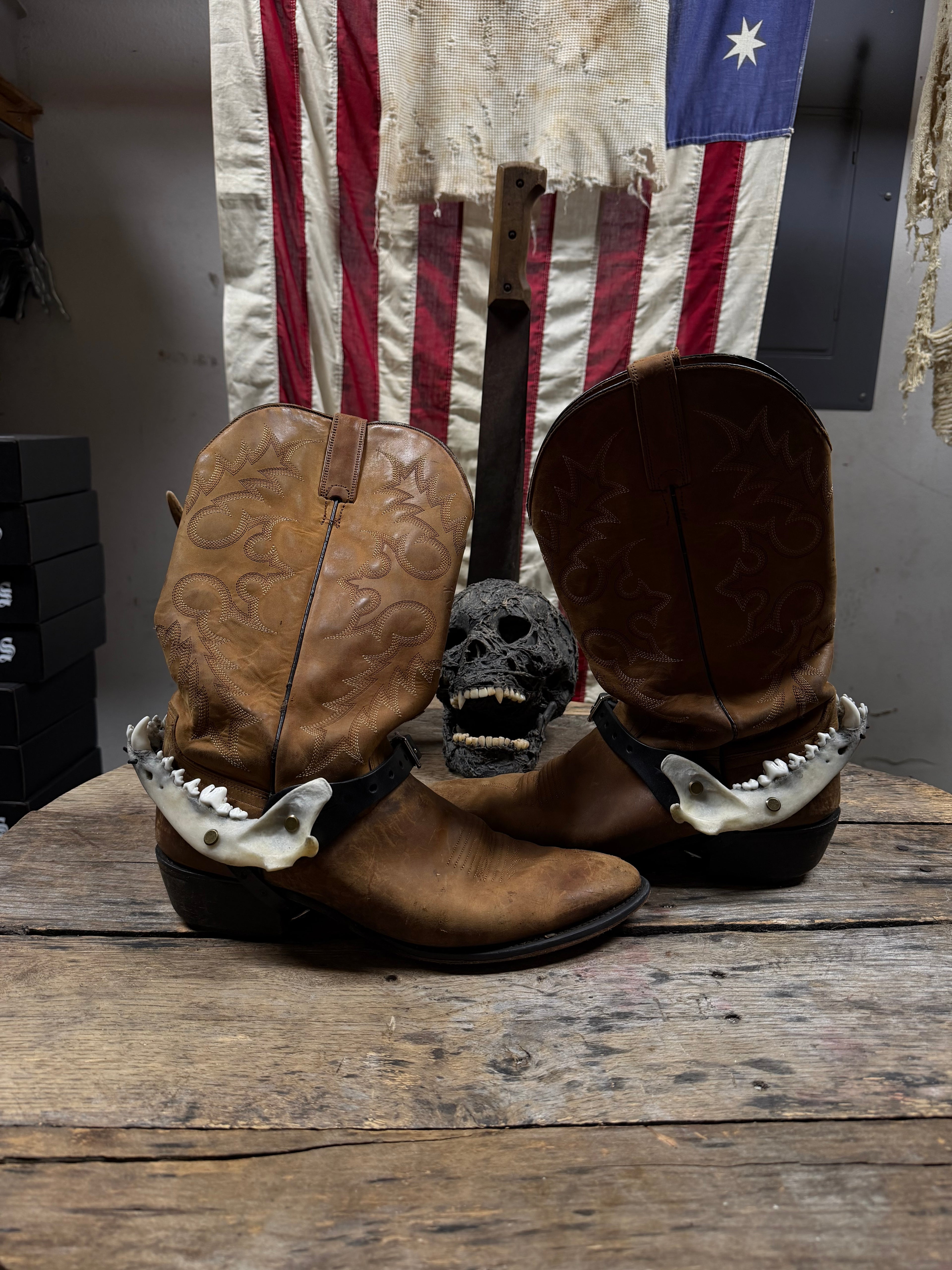 Larger Coyote Jawbone Spurs Pair