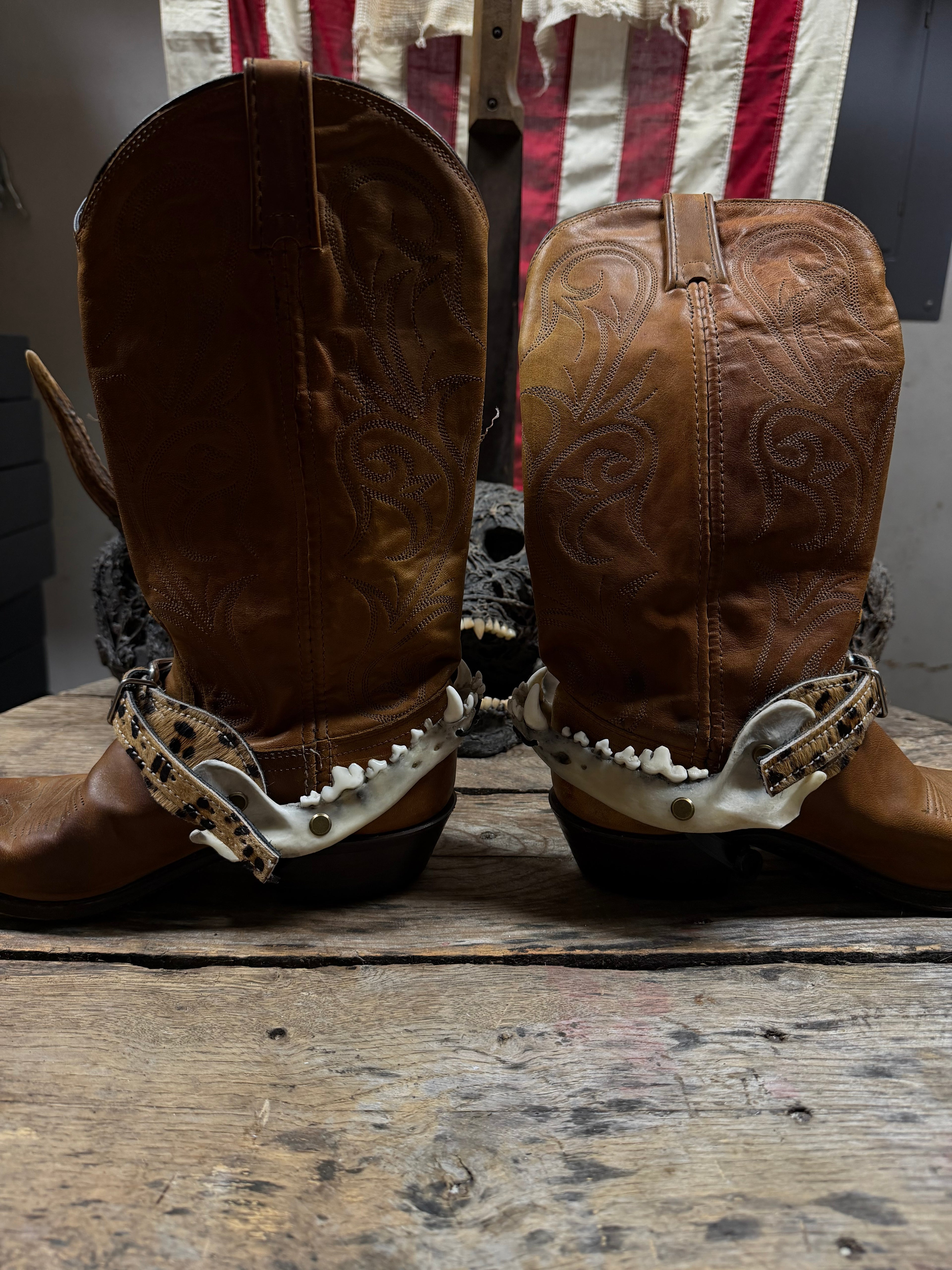 Medium Coyote Jawbone Spurs Pair