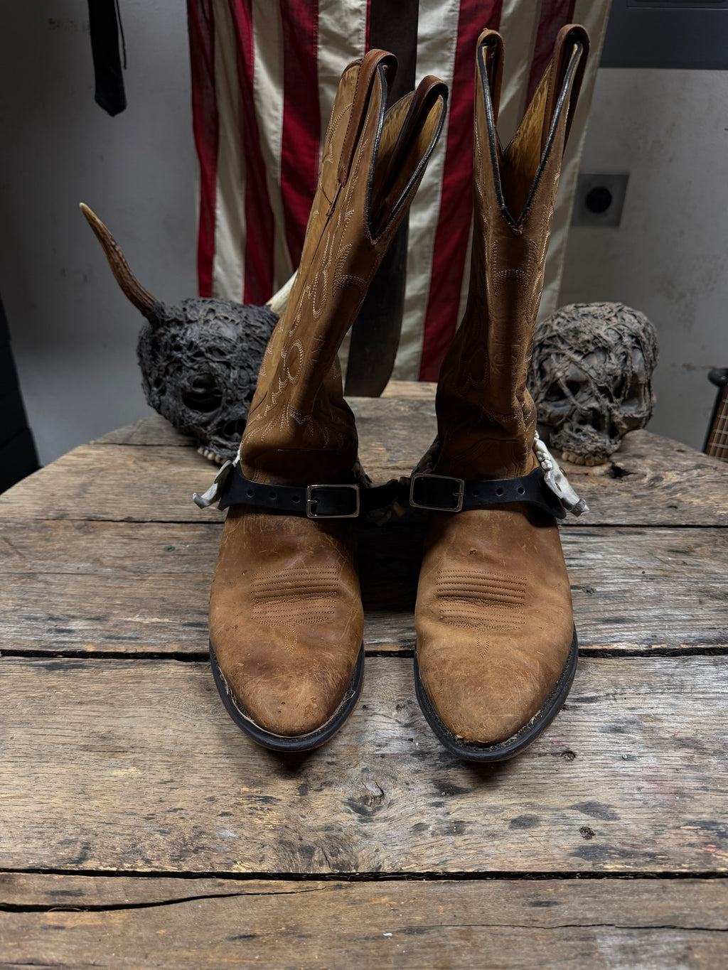 Larger Coyote Jawbone Spurs Pair