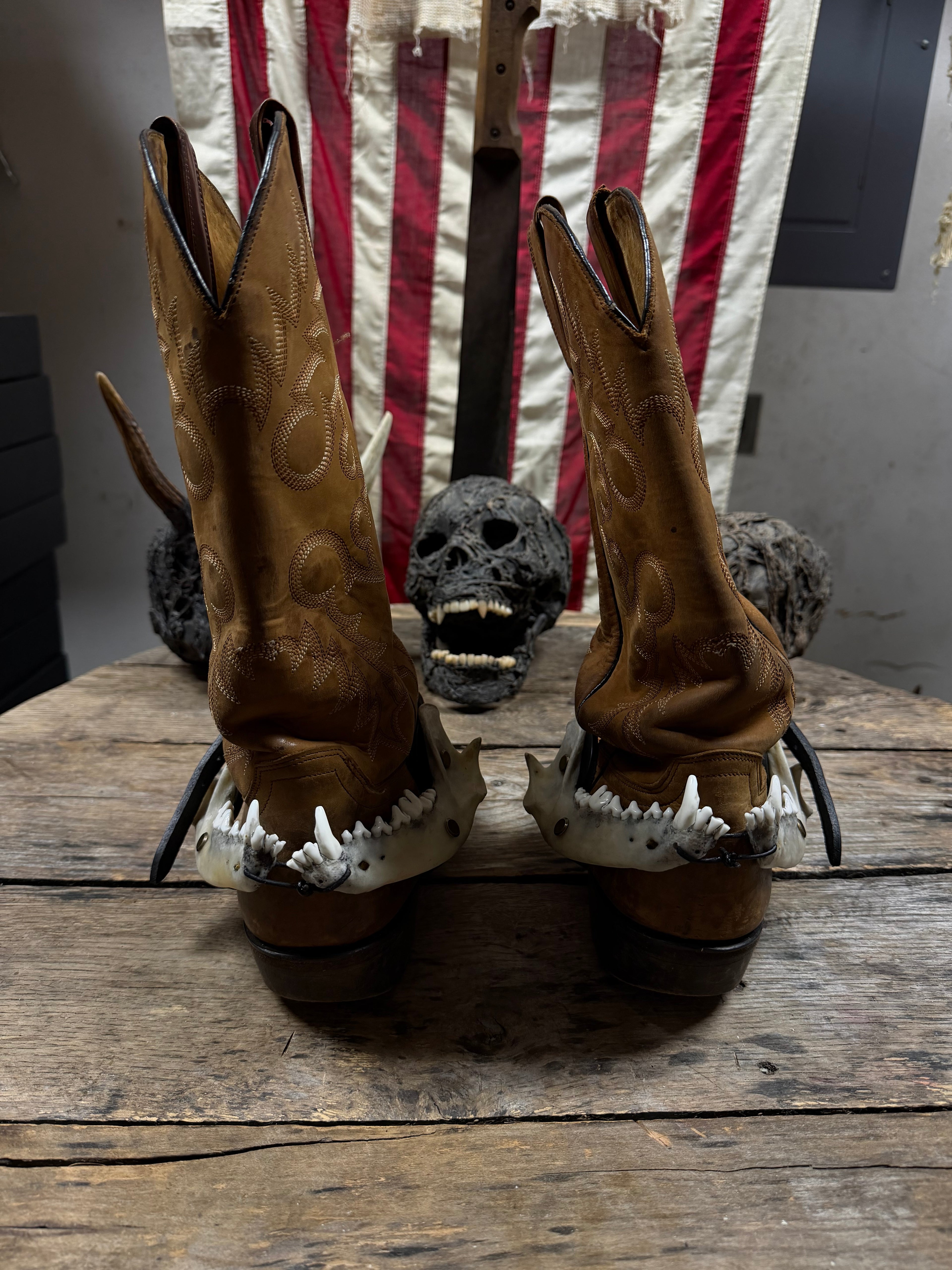 Larger Coyote Jawbone Spurs Pair