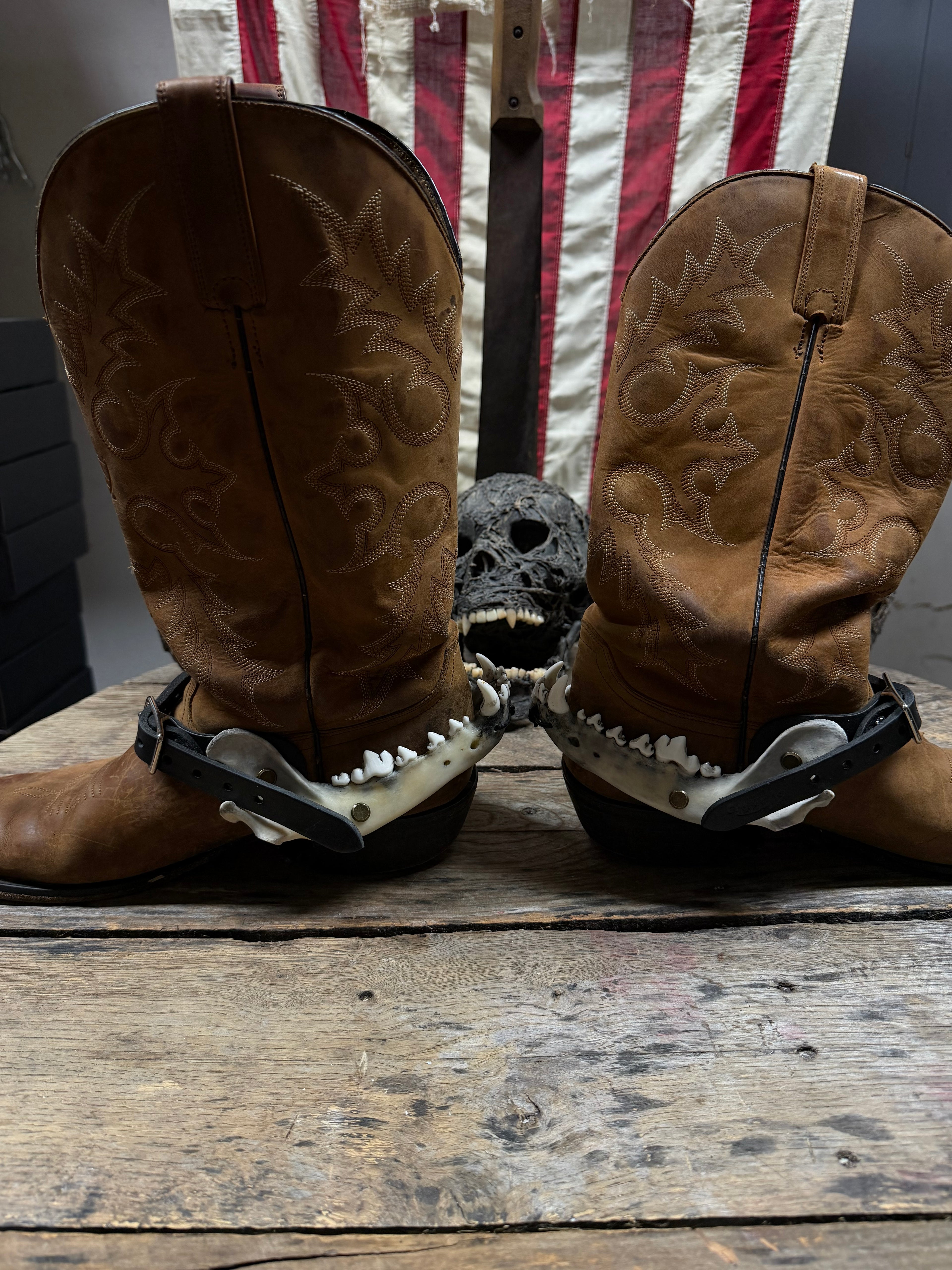 Larger Coyote Jawbone Spurs Pair