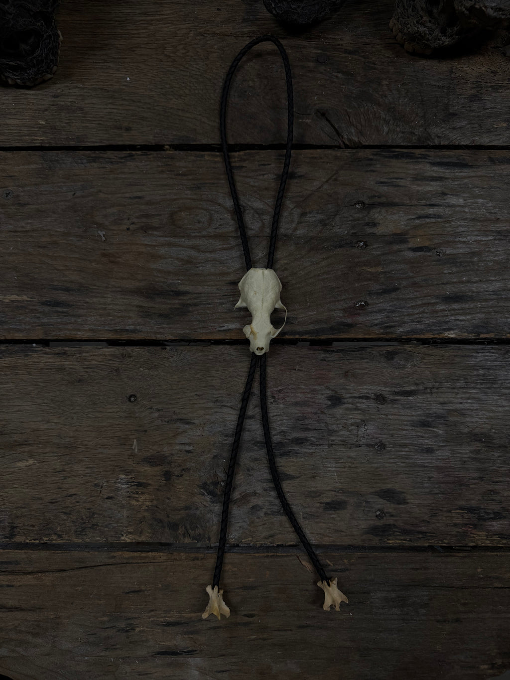 Mink skull bolo tie