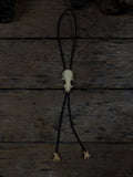 Mink skull bolo tie