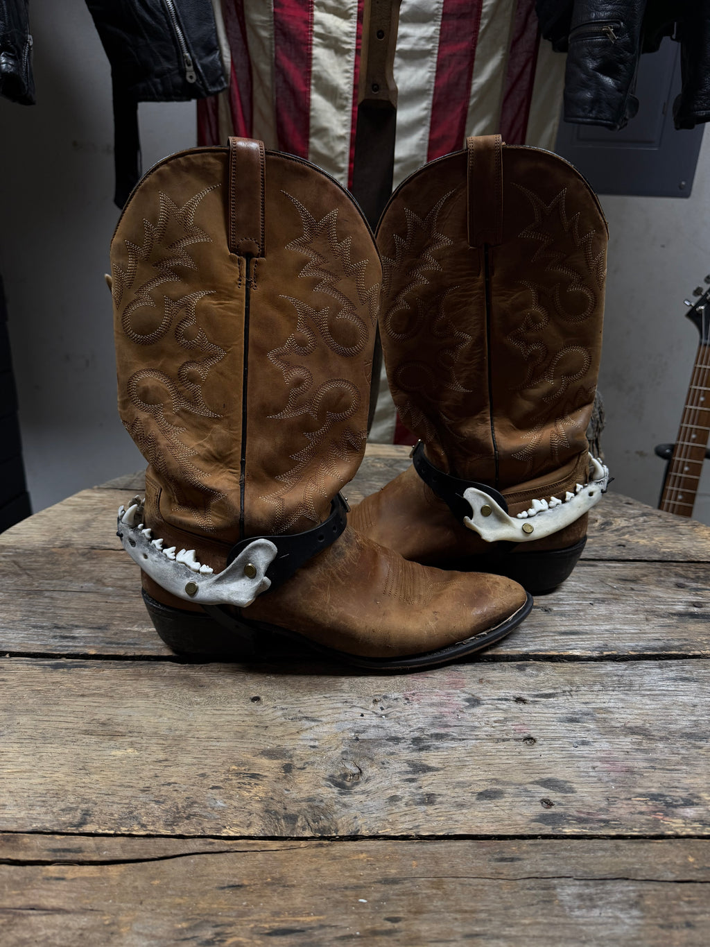 Medium Coyote Jawbone Spurs Pair