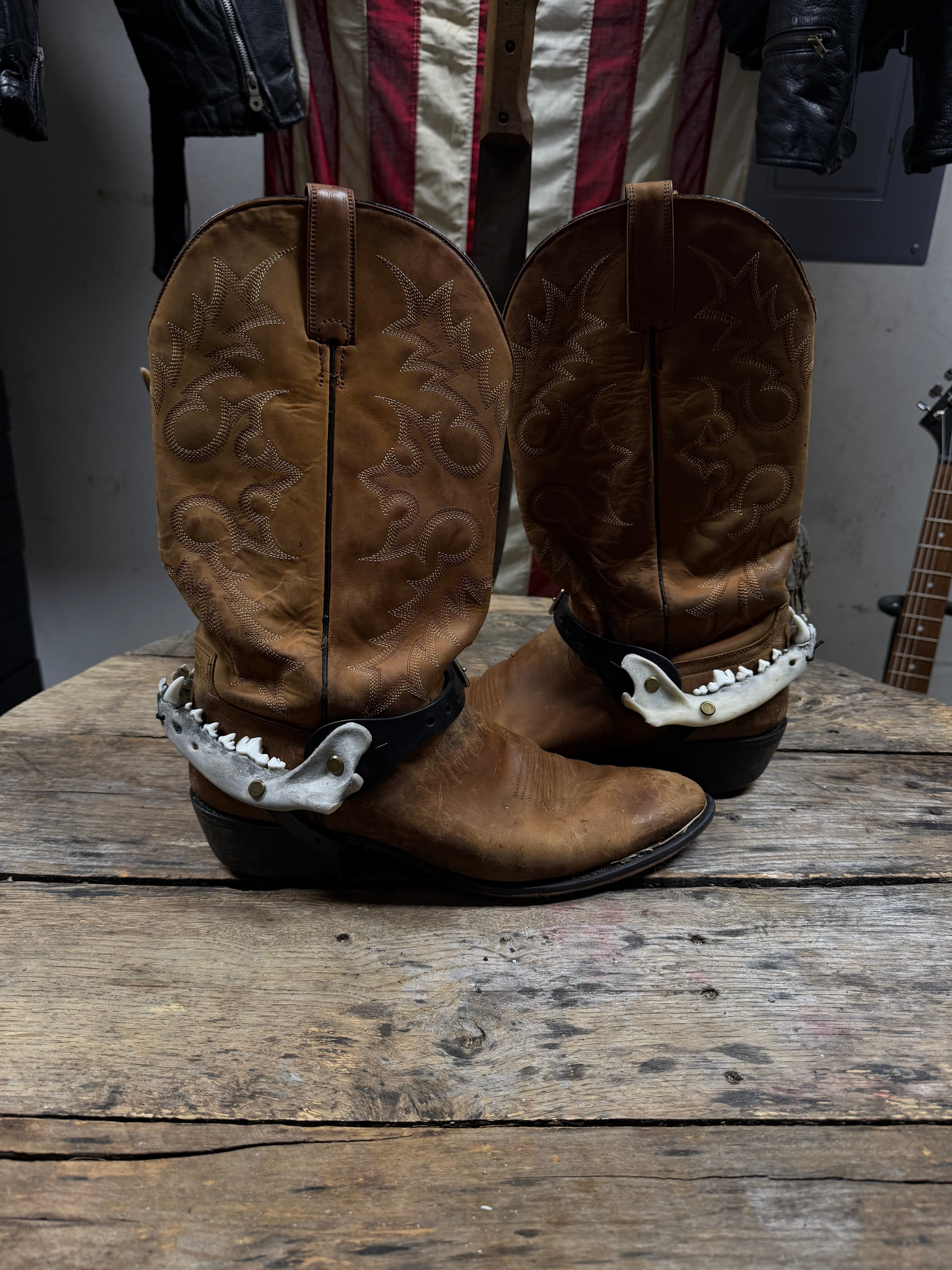 Medium Coyote Jawbone Spurs Pair