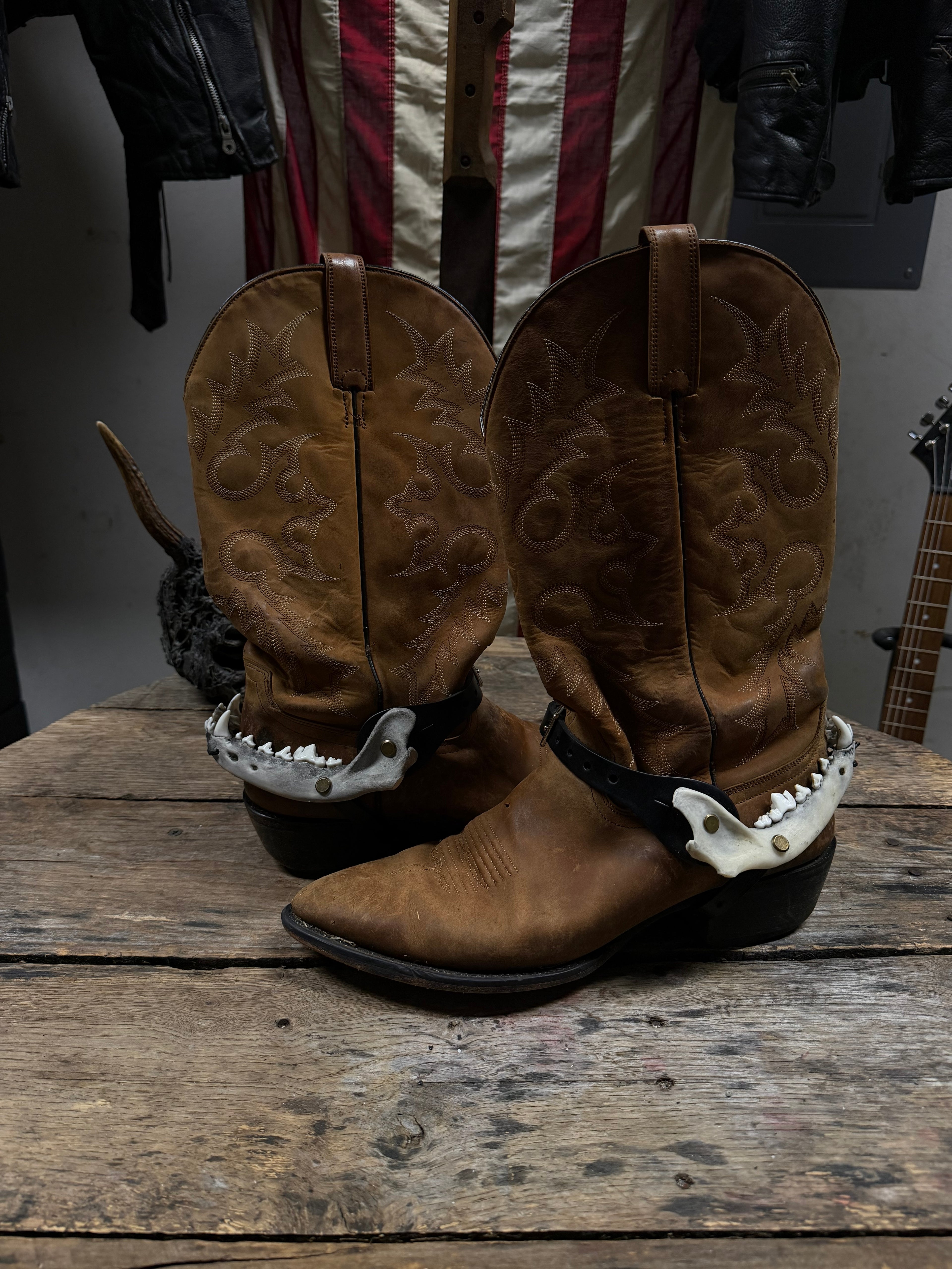 Medium Coyote Jawbone Spurs Pair