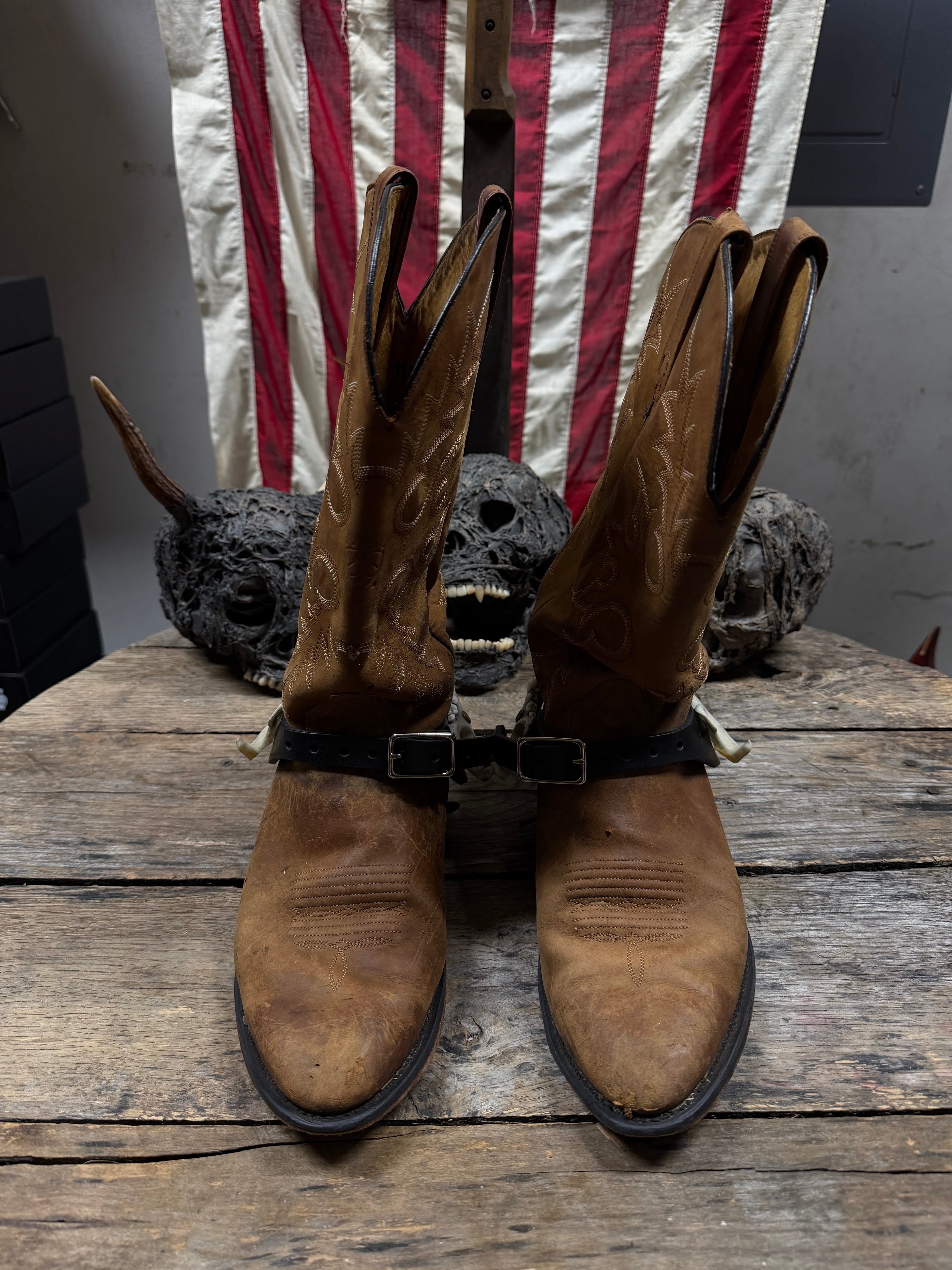 Larger Coyote Jawbone Spurs Pair
