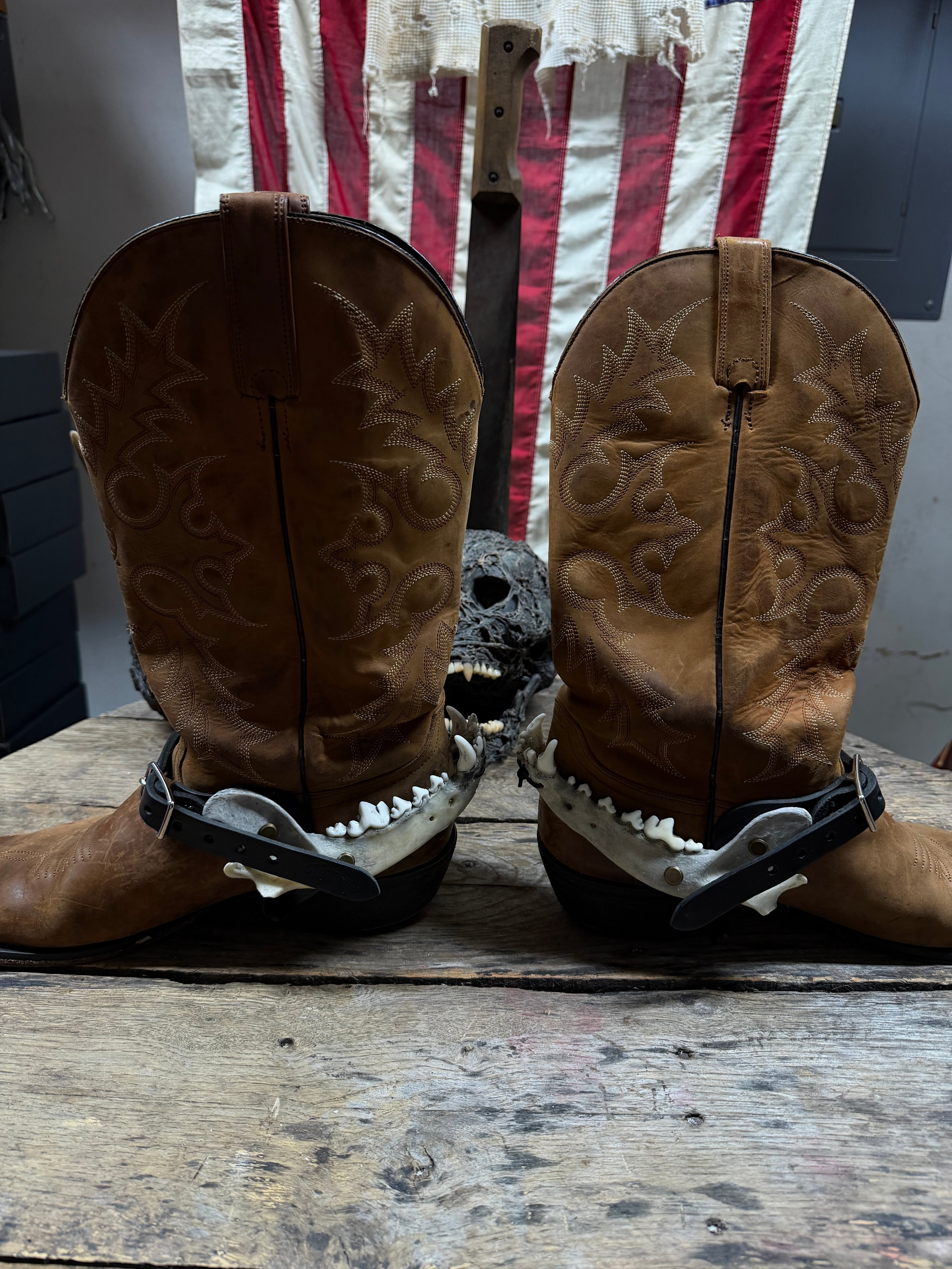 Larger Coyote Jawbone Spurs Pair