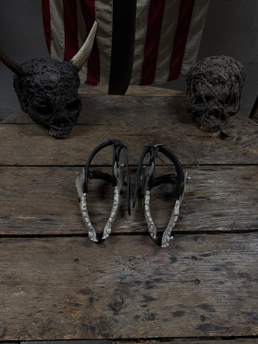 Smaller Coyote Jawbone Spurs Pair