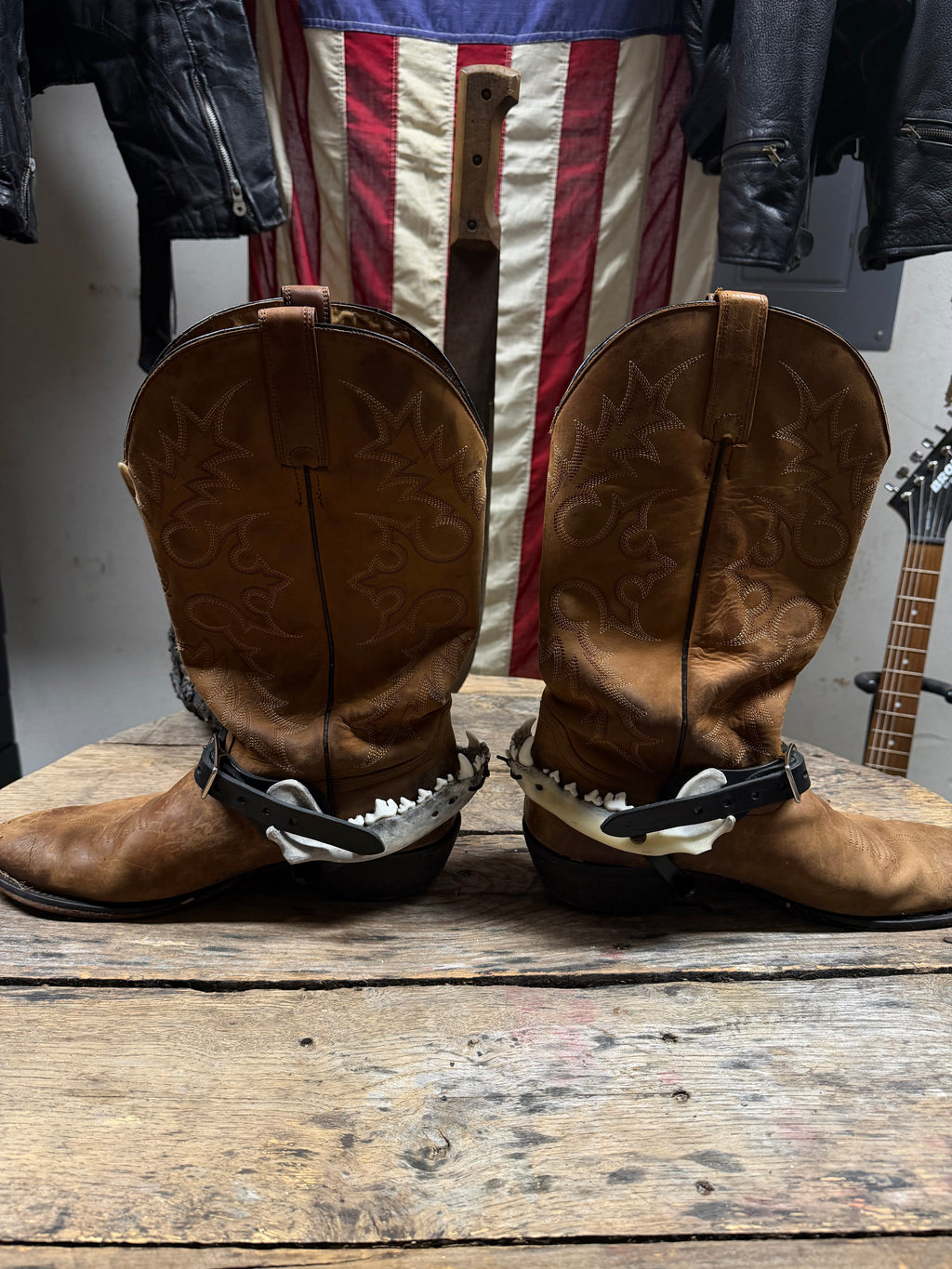Medium Coyote Jawbone Spurs Pair