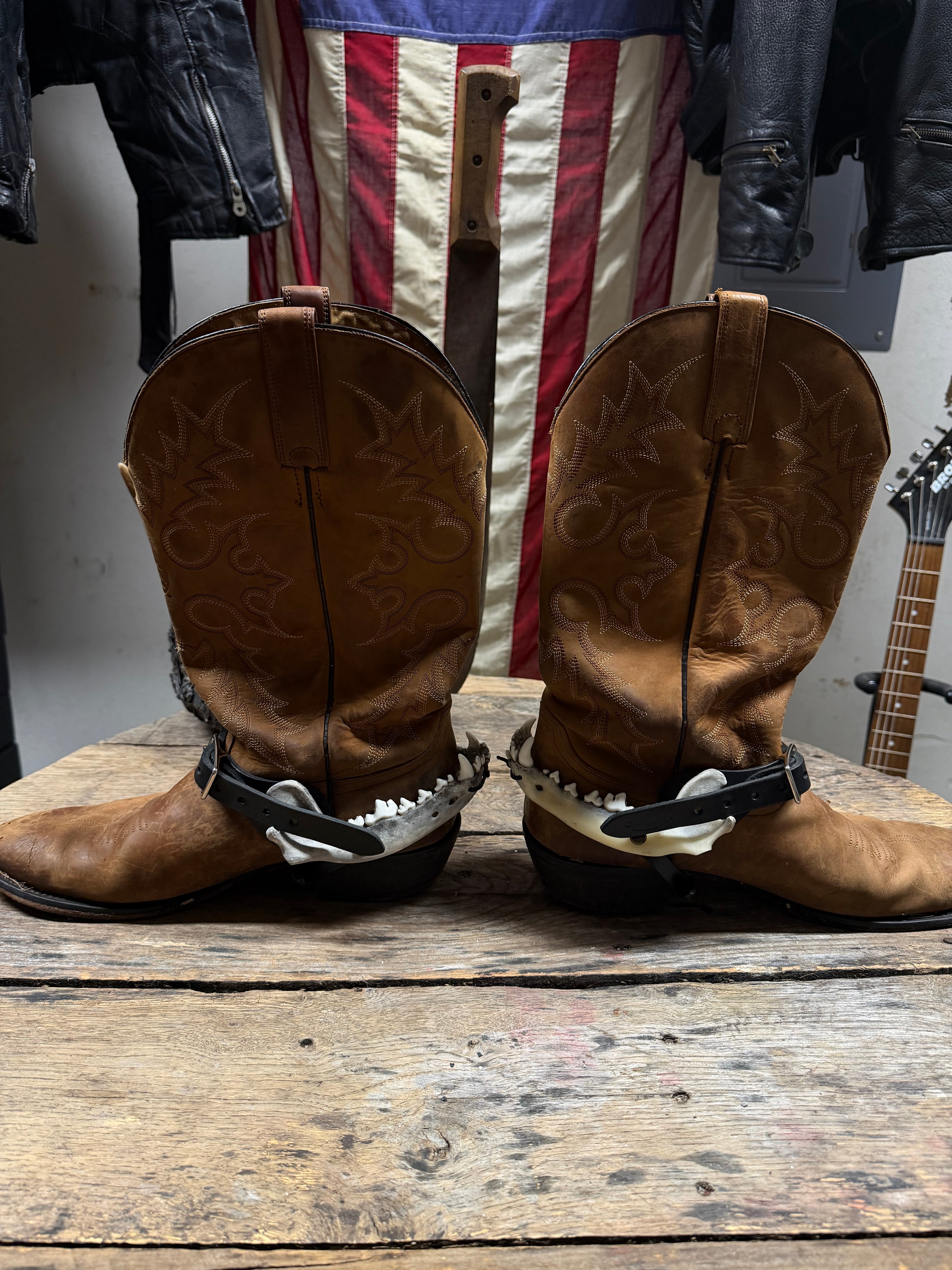 Medium Coyote Jawbone Spurs Pair