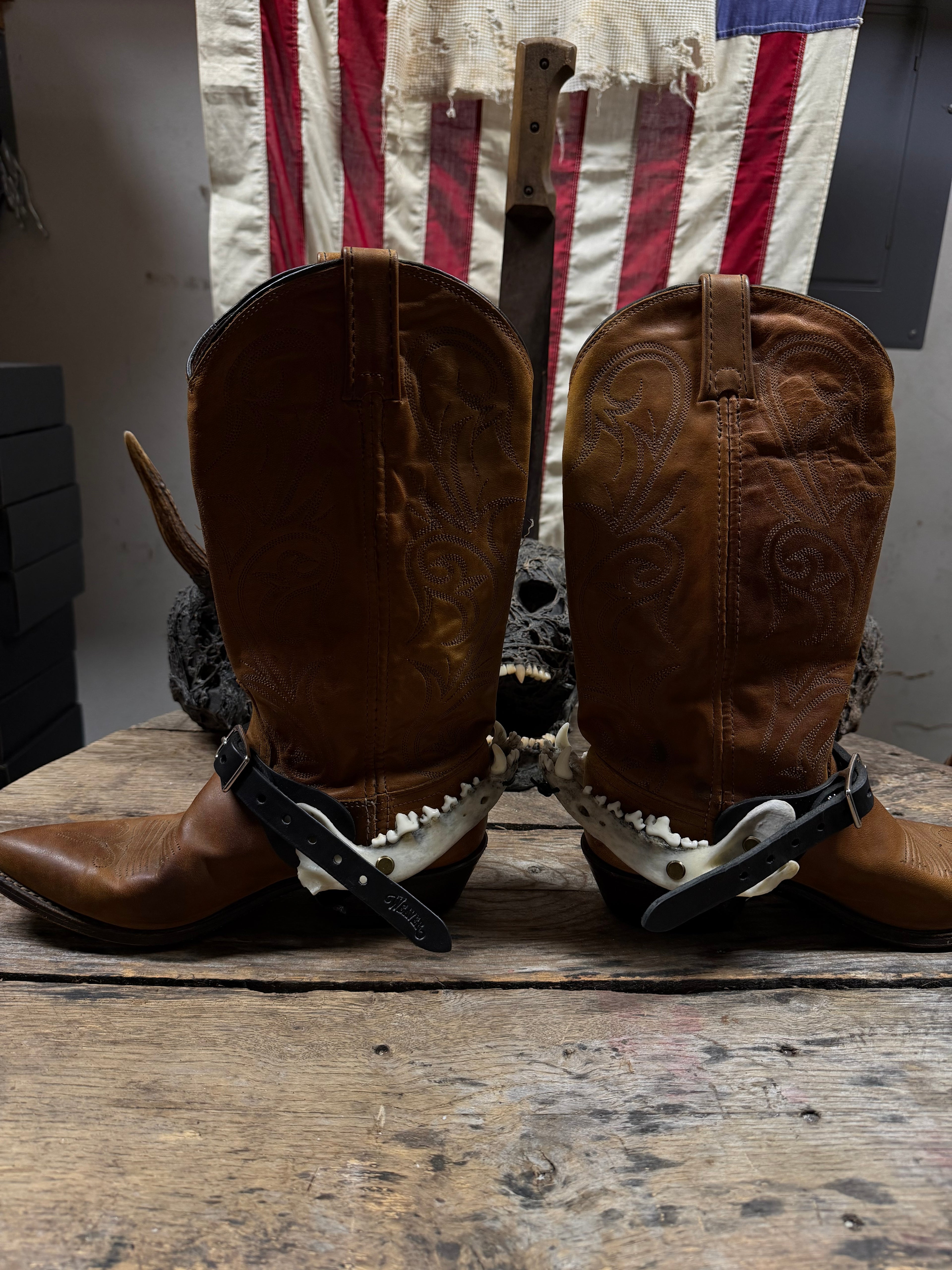Smaller Coyote Jawbone Spurs Pair