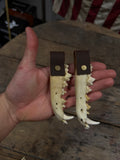 Coyote Jawbone Keychain