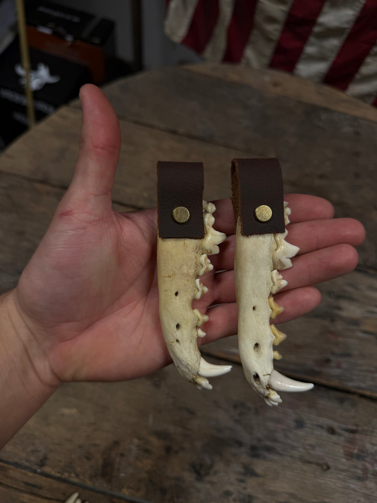 Coyote Jawbone Keychain