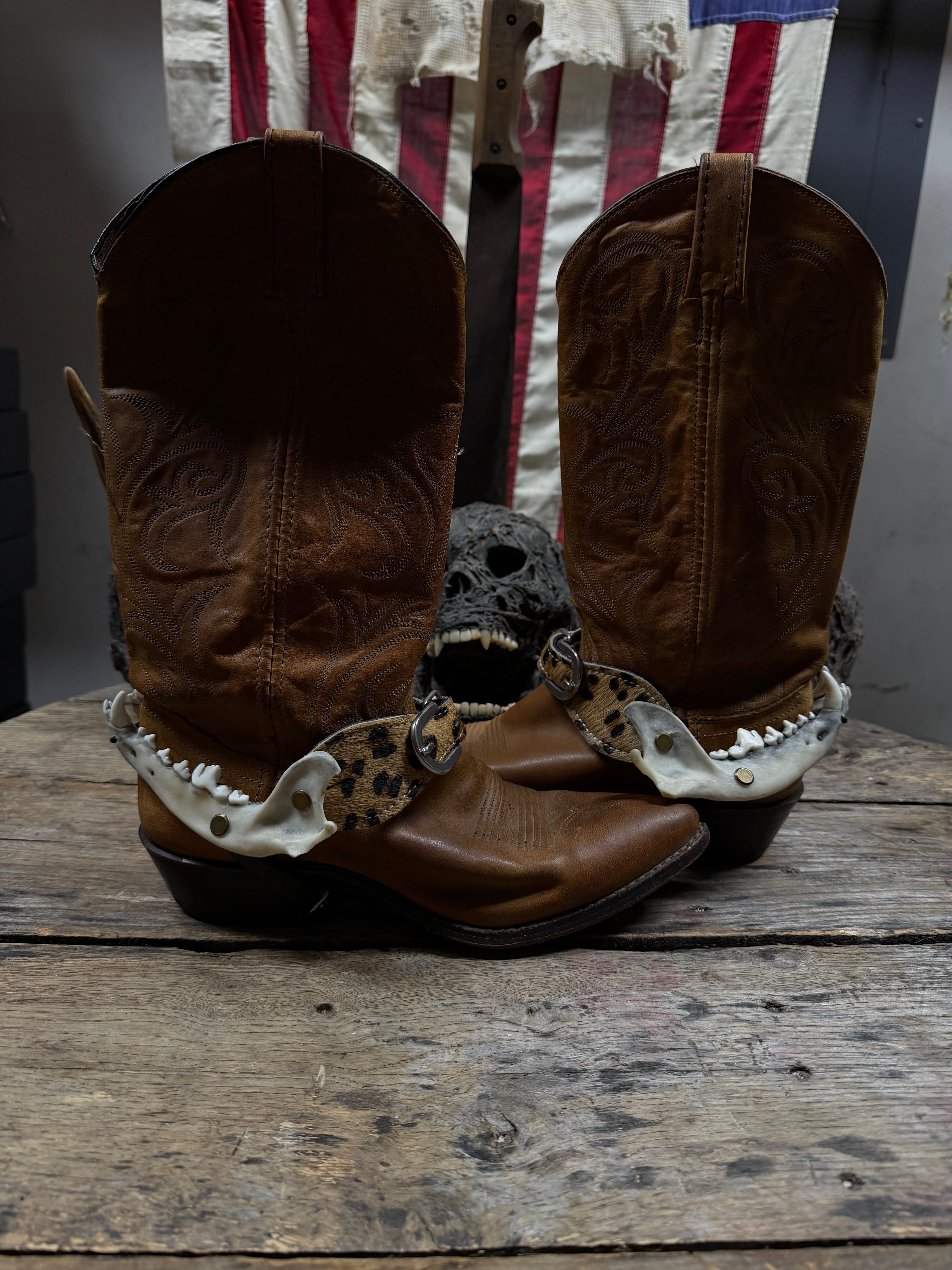 Medium Coyote Jawbone Spurs Pair