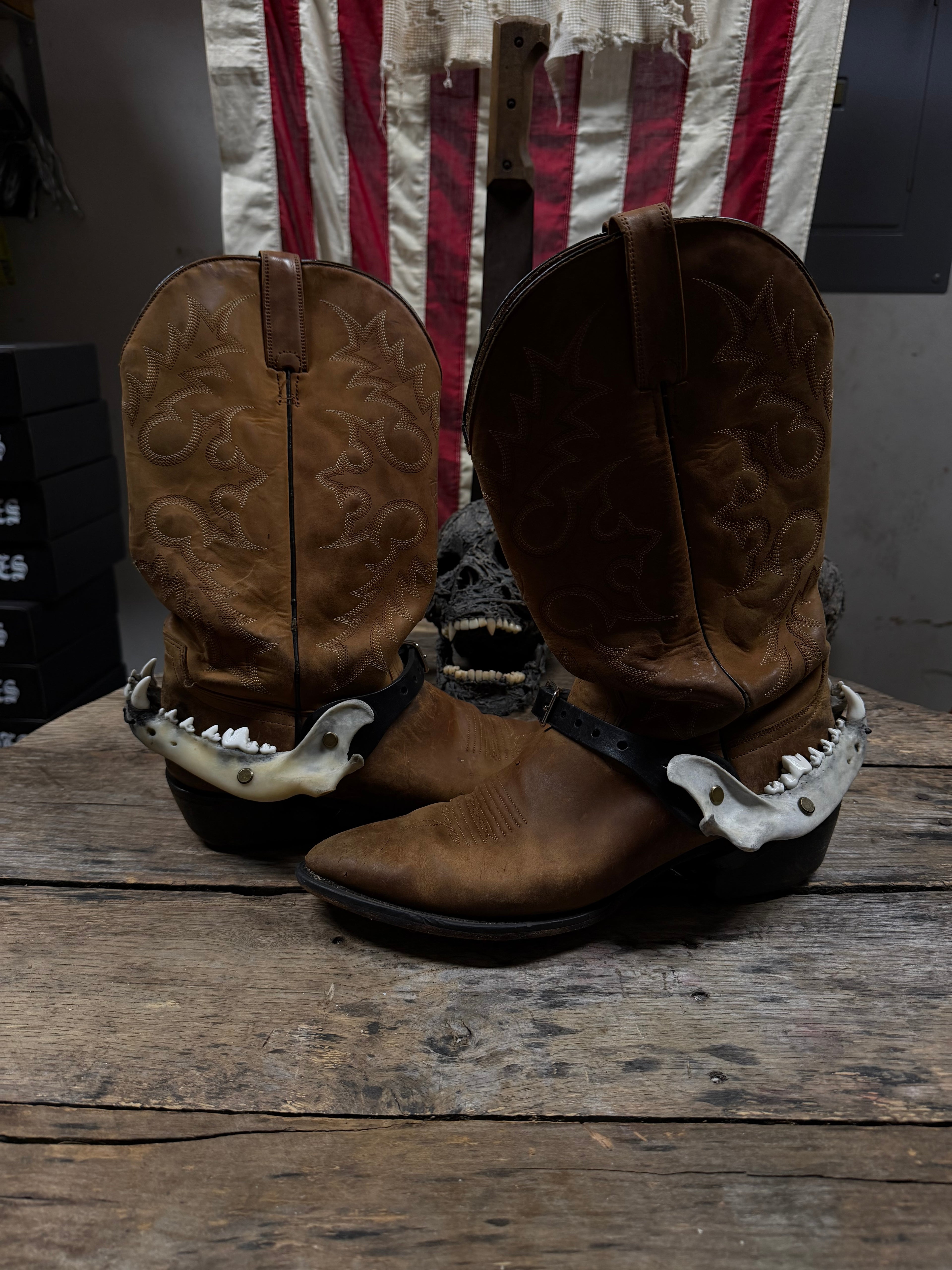 Larger Coyote Jawbone Spurs Pair
